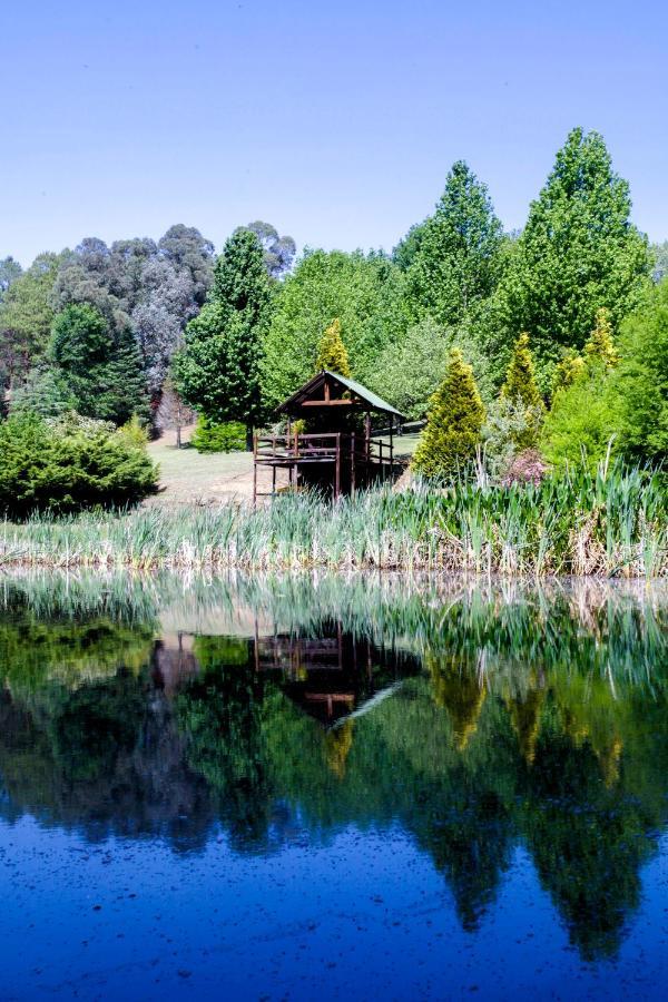 Meadow Lane Country Cottages 安德伯格 外观 照片